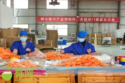 火爆！天貓雙十一小家電銷(xiāo)量巨增，日用百貨掀起消費(fèi)熱潮